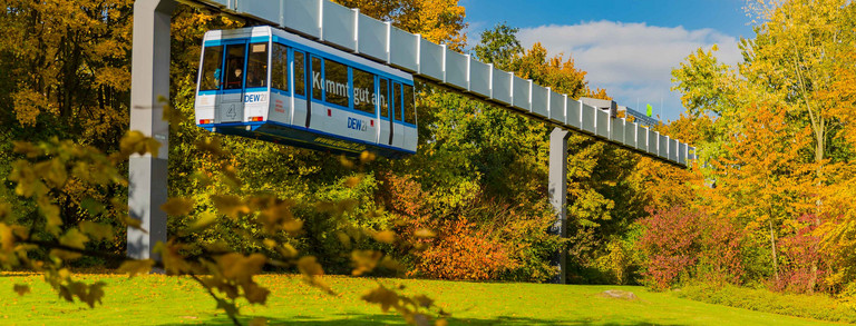 Die H-Bahn fährt und Bäume in herbstlichen Farben sind rechts und links zu sehen.