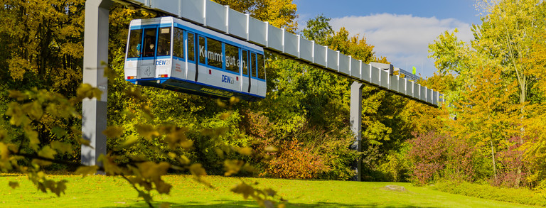 Die H-Bahn fährt und Bäume in herbstlichen Farben sind rechts und links zu sehen.
