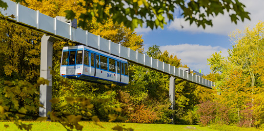 The H-Bahn is running and is surrounded by trees in autumnal colors.