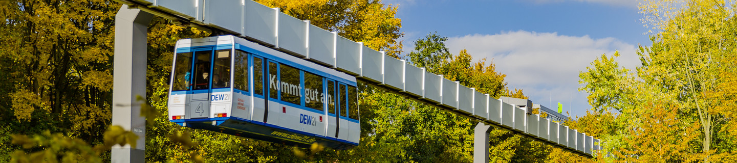 The H-Bahn is running and is surrounded by trees in autumnal colors.