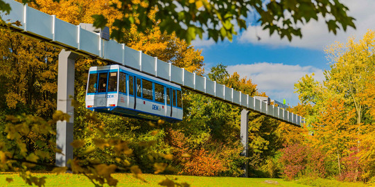 Die H-Bahn fährt und Bäume in herbstlichen Farben sind rechts und links zu sehen.